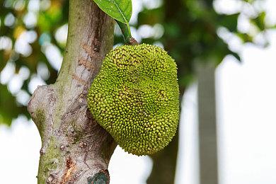 《怪物猎人：崛起》价格永降后首次特惠 标准版只需151元